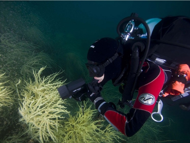  Don't miss any detail 